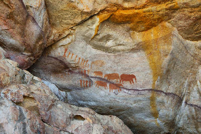 San rock art panel depicting elephants and human figures painted on a sandstone rock shelter along the Sevilla Rock Art Trail in the Cederberg, Western Cape, South Africa.