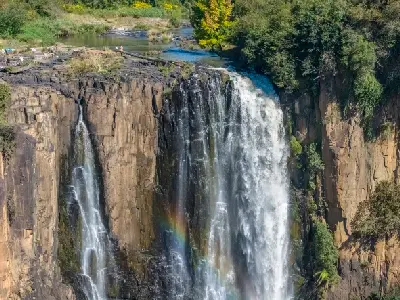 Close-up of Howick Falls cascading over vertical basalt cliffs with rainbow spray at the base, KwaZulu-Natal Midlands, South Africa.