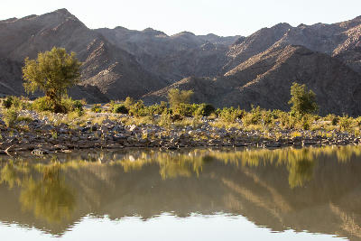 Still reflective water bordered by rocky desert vegetation beneath rugged mountain walls inside Fish River Canyon in southern Namibia.