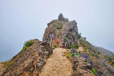 Stone hiking path along the Pico do Arieiro–Pico Ruivo ridge near Ninho da Manta, with volcanic rock formations, safety cables, and purple Pride of Madeira flowers emerging from low cloud.