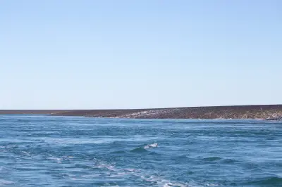 Broad expanse of Montgomery Reef emerges above the surrounding blue water as the tide falls.