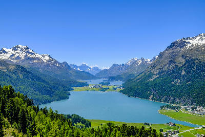 High view over Lake Sils and Lake Silvaplana in the Upper Engadine, with forested slopes, valley settlements, and surrounding alpine ranges.