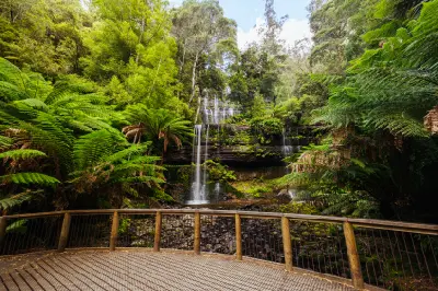 Russell Falls flowing over multiple rock ledges surrounded by dense green rainforest in Mount Field National Park, Tasmania.
