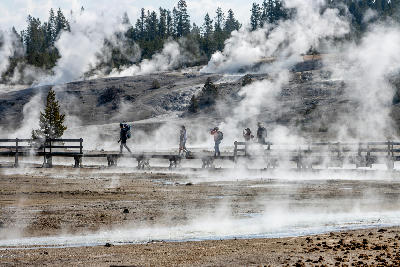 Tourists boardwalk Norris Geyser Basin Yellowstone steam vents geothermal landscape Wyoming USA