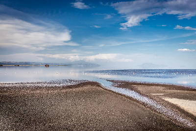 Salt flats and shallow water channels at Lake Natron with scattered lesser flamingos, distant Rift Valley mountains, and reflections under a dramatic sky in northern Tanzania.