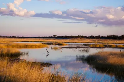 Wetland channels and grass plains at sunset in Etosha National Park, Namibia.