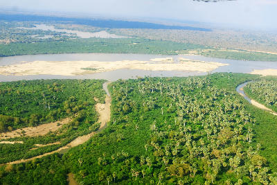 Aerial view of the Rufiji River, forests and sandbanks in Nyerere National Park, Tanzania.