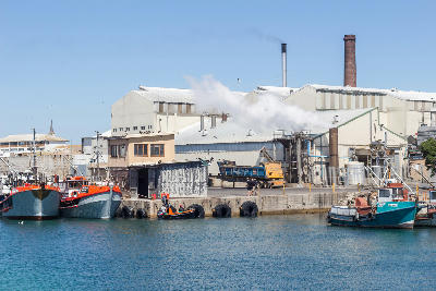 Fishing boats moored at Lambert's Bay Harbour with fish processing buildings, chimneys and harbour infrastructure along the waterfront.