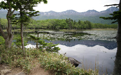 Lake Ichiko reflecting the Shiretoko Mountains with forest and foreground vegetation
