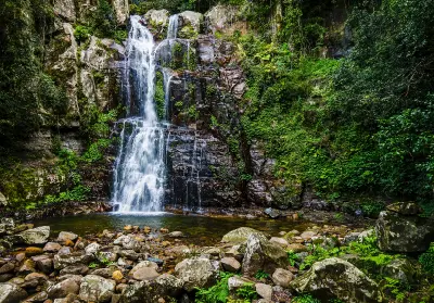 Waterfall cascades over a moss-covered rock face into a shallow pool surrounded by dense subtropical rainforest at Minnamurra.