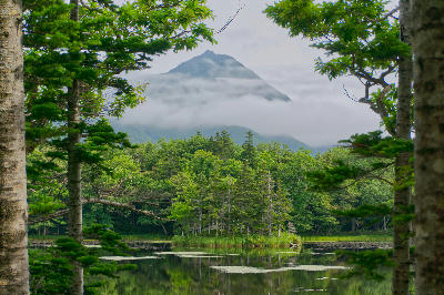 Mountain partially obscured by mist reflected in a lake framed by trees at Shiretoko Five Lakes
