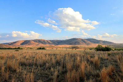 Golden grassland stretching toward rounded volcanic hills beneath a blue sky in Pilanesberg National Park, North West Province, South Africa.