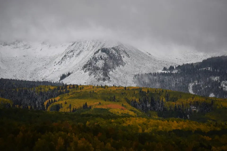 Colorado Fall Color Photography Art Retreat